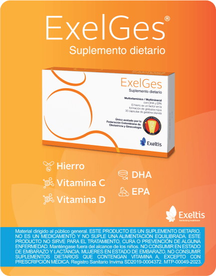 ExelGes-B